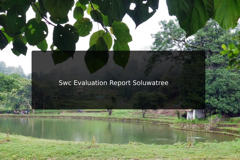 Swc Evaluation Report Soluwatree